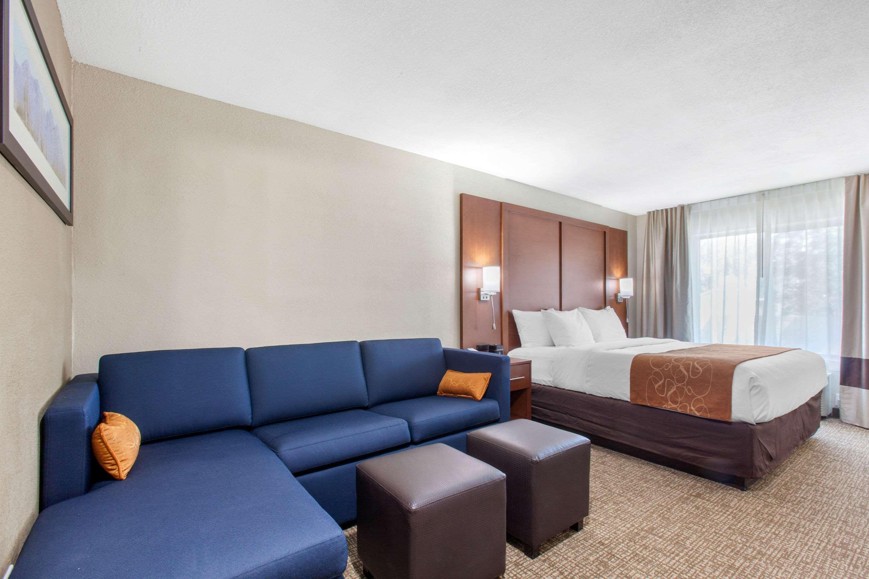 Hotel Comfort & Pinetop Show 2*
